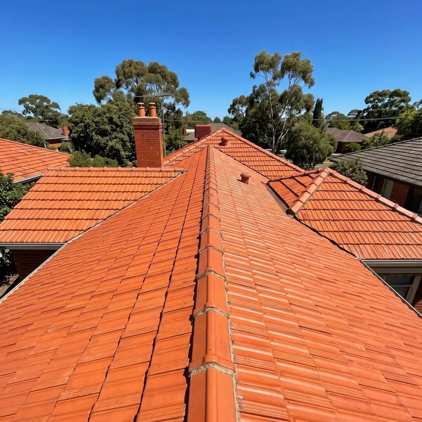 Tiled roof after cleaning in Melbourne south-east