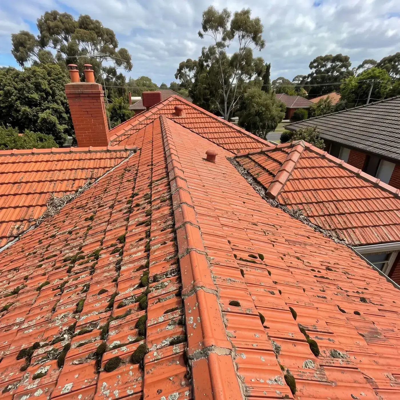 Tiled roof before cleaning in Melbourne south-east